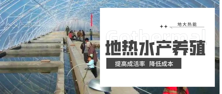 天鎮(zhèn)縣依托地熱資源 發(fā)展水產(chǎn)養(yǎng)殖-地熱溫室養(yǎng)殖-地大熱能 天鎮(zhèn)縣依托地熱資源 發(fā)展水產(chǎn)養(yǎng)殖-地熱溫室養(yǎng)殖-地大熱能